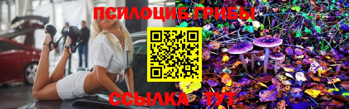 Добрянка  Псилоцибиновые грибы ЛСД  Псилоцибиновые грибы MAGIC MUSHROOMS  Вход с VPN 