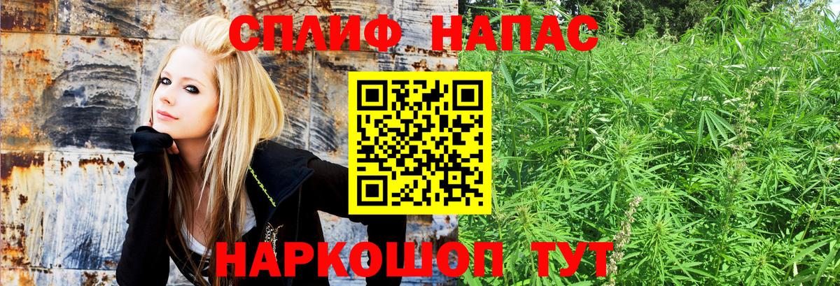 Бошки марихуана Amnesia Добрянка